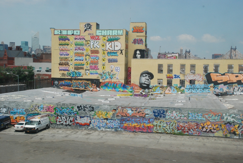 DSC_7234.JPG